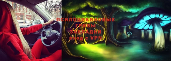 кокаин колумбия Богданович