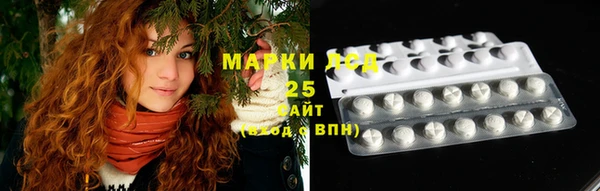 spice Бугульма