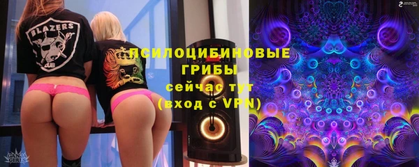 spice Бугульма