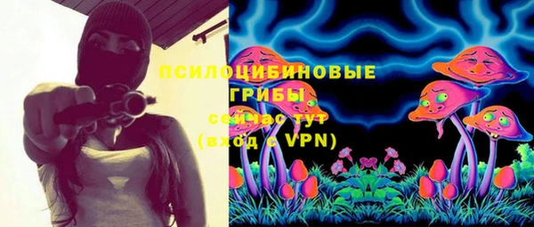 скорость Богородск