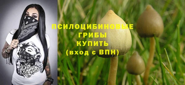 кокаин колумбия Богданович
